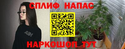 стафф Тулун