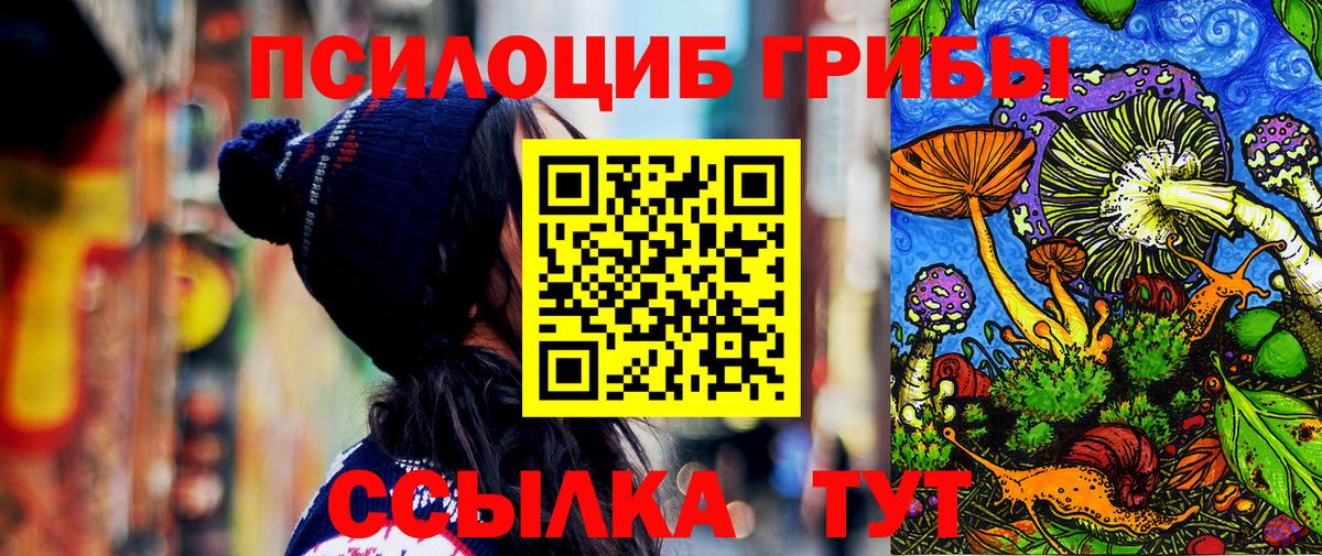 Псилоцибиновые грибы Magic Shrooms Ахтубинск