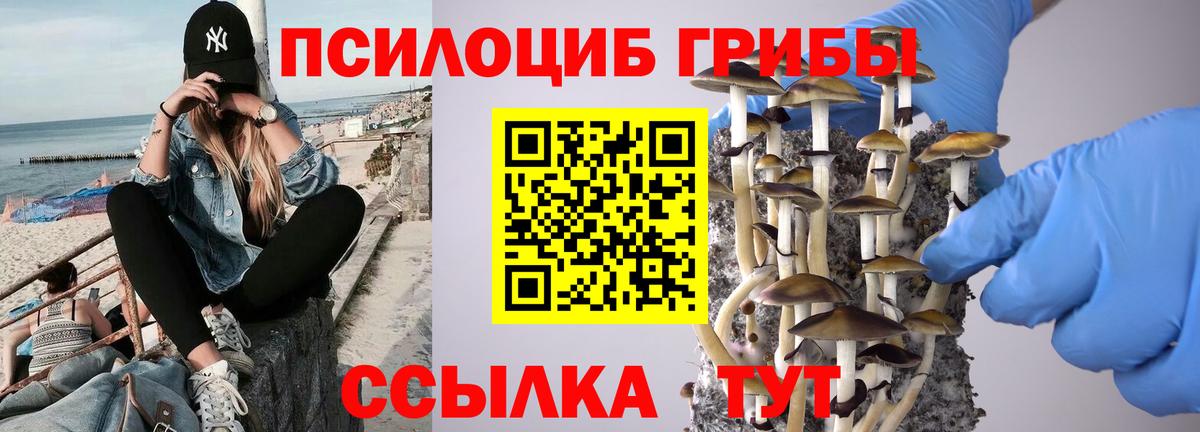 где продают наркотики  Вход с VPN  Ахтубинск  Галлюциногенные грибы GOLDEN TEACHER 